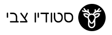 סטודיו-צבי